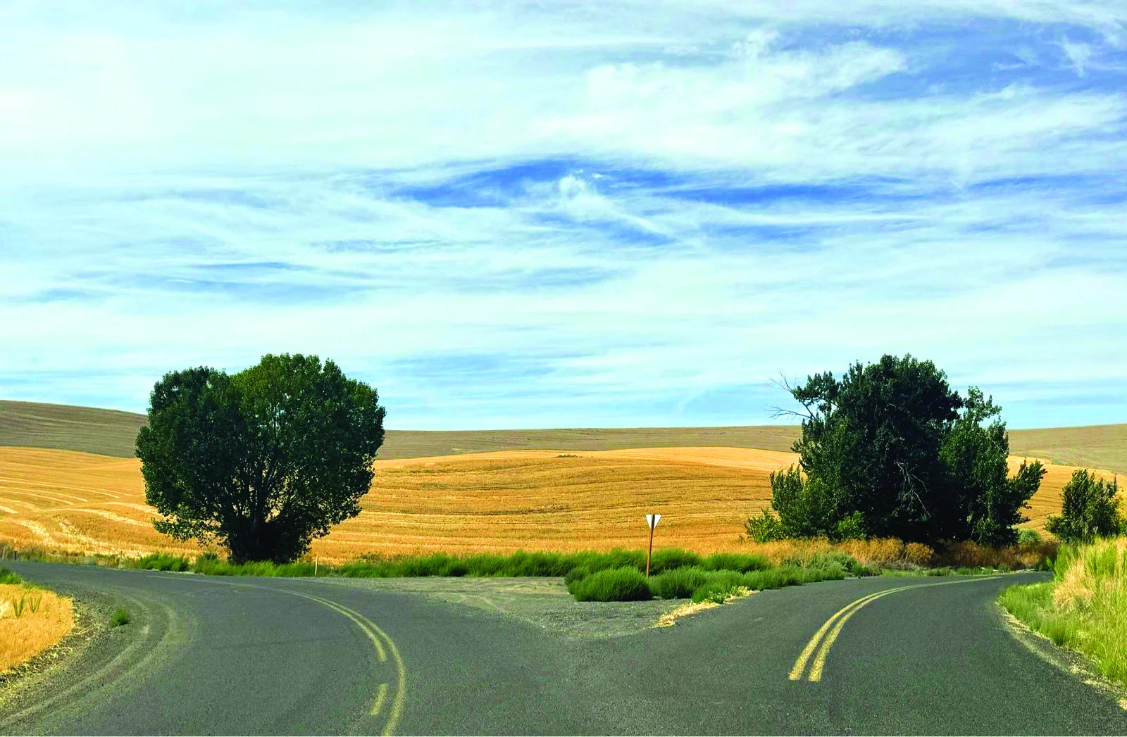 Pedaling through Grief