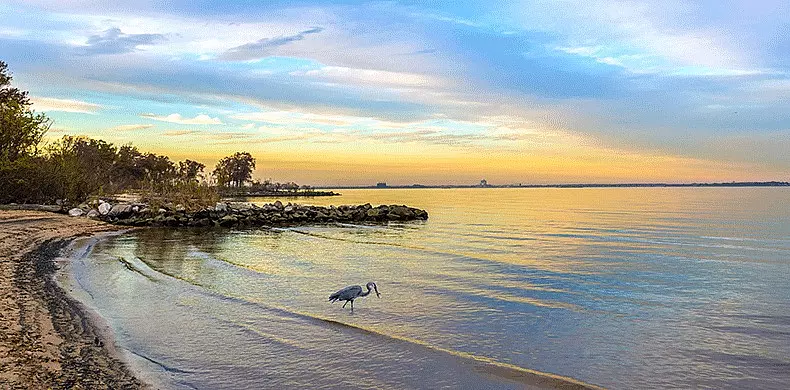 A heron stands in shallow water near the sandy shore of a calm lake at sunset, with trees and rocks lining the shoreline and a colorful sky reflected on the water.