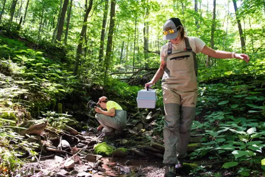 Two people in protective gear conduct research in a lush forest. One is kneeling by a stream, taking notes, while the other walks with a container. Sunlight filters through the trees, creating a serene setting.