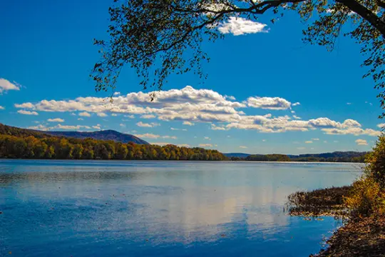 A serene English lake reflects the blue sky and scattered white clouds. A tree with slender branches hangs over the water on the right, while a forested shoreline stretches into the distance. Hills rise in the background under the clear, sunny sky.