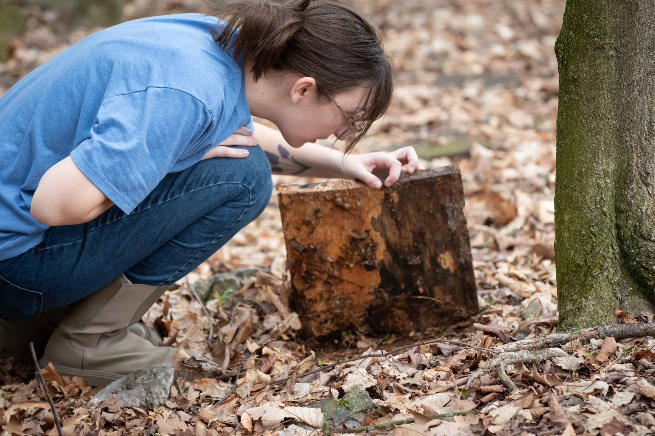 A person wearing a blue shirt and glasses kneels in a forest, intently examining a tree stump surrounded by fallen leaves, showcasing a deep focus on Earth and Environmental Sciences with the woods providing an immersive backdrop.