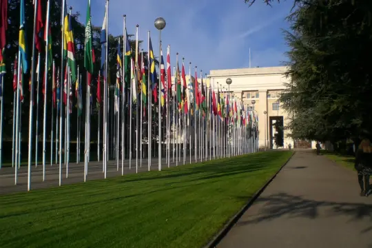A row of international flags lines a pathway leading to a large building. The sky is clear and sunny, casting shadows on the grass. The setting is peaceful, with trees framing the scene on both sides.
