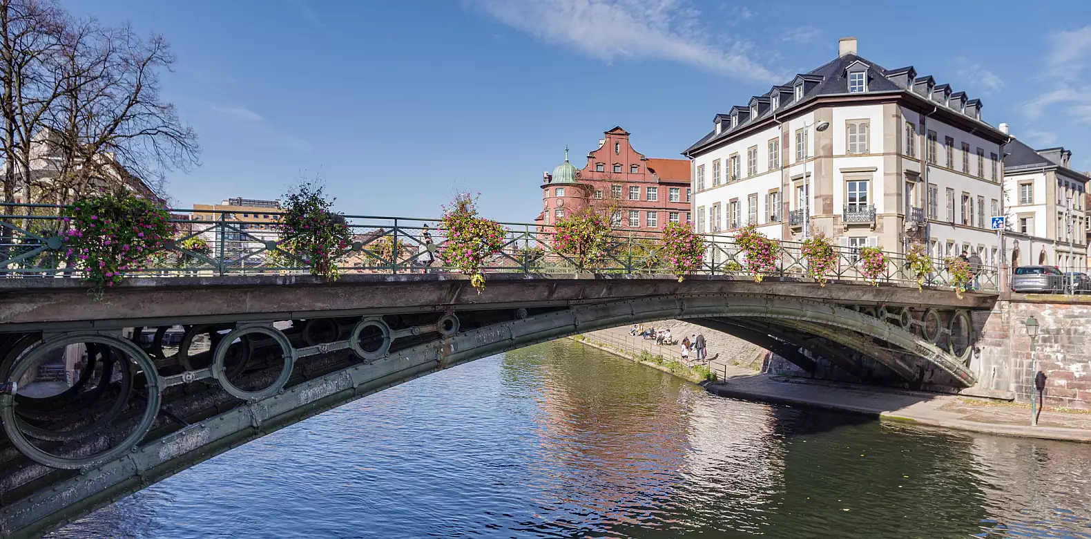 Image for news story: Three 体育买球 Alumni Named TAPIF Fellows