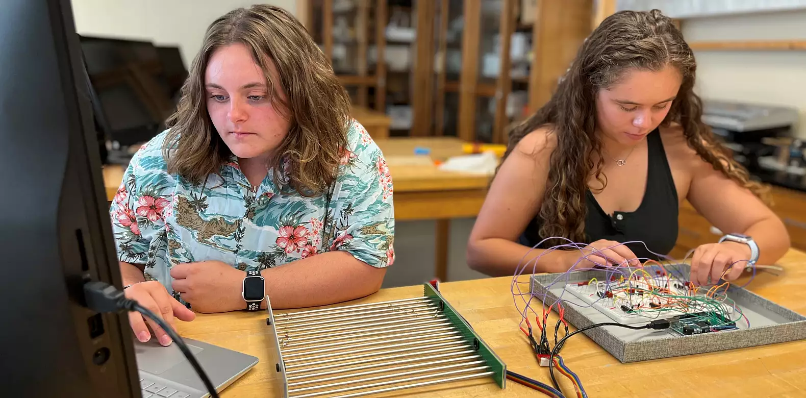 Image for news story: Physics, Psychology Cross Circuits in the Lab