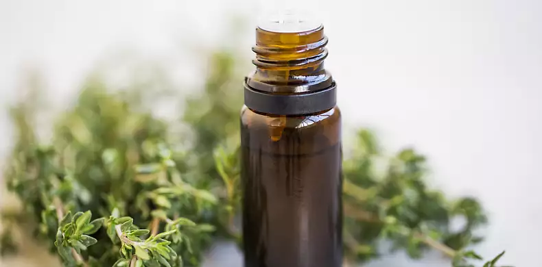 Image for news story: Persevering Through Frustrating Research