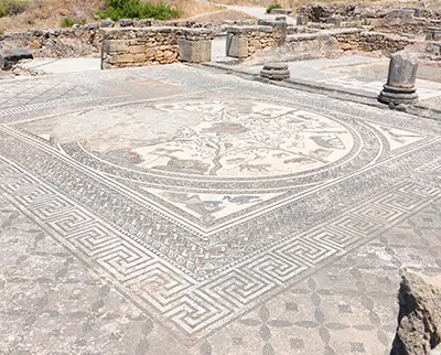 Ancient mosaic floor featuring geometric patterns and a central design with animals and a tree, located in a ruin with stone walls and columns in the background.