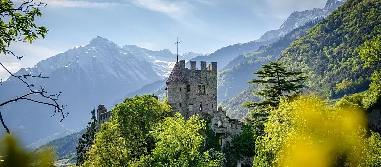 A medieval castle with a tall tower, nestled amidst lush green trees, is set against a backdrop of snow-capped mountains under a blue sky. Yellow flowers blur the foreground, adding depth to the scenic landscape.