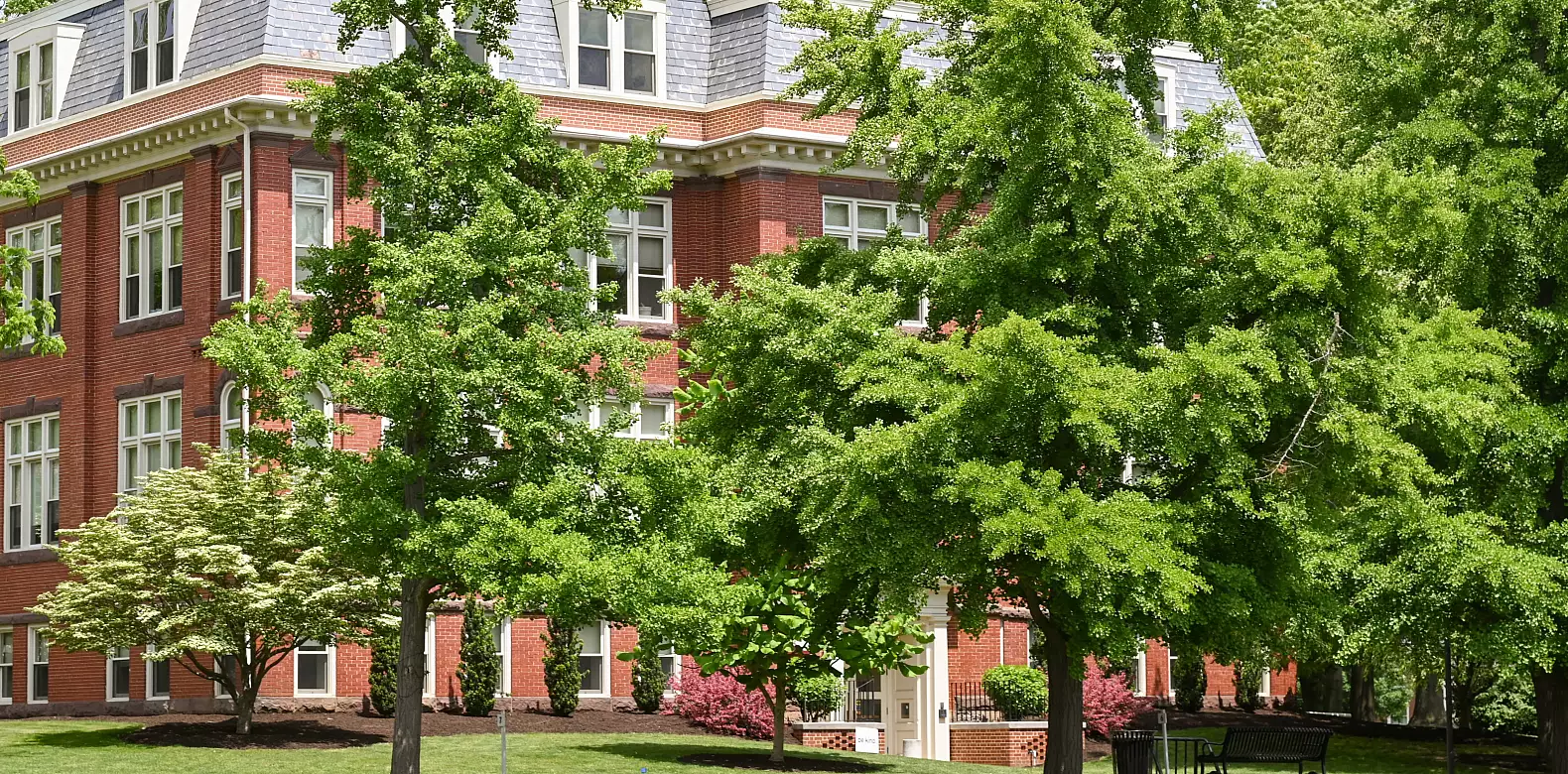 Image for news story: Covid Vaccination Moves to Recommendation