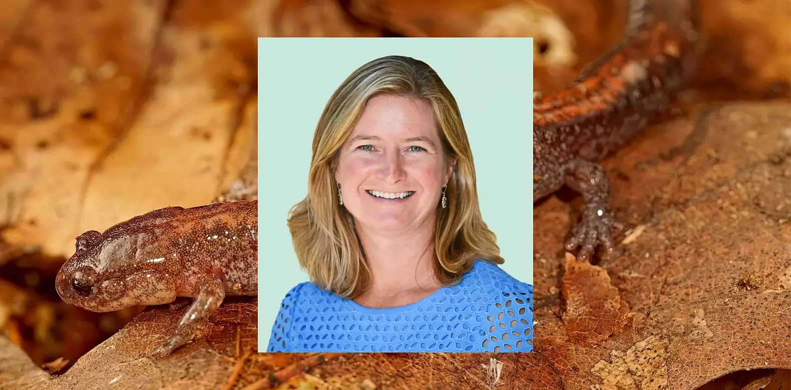 Image for news story: 体育买球 awarded $3 million climate change research grant