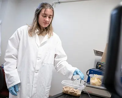 A person in a lab coat and gloves is examining a container with pieces of material, possibly food samples, on a lab table. They appear focused on the work, standing in a laboratory setting with equipment around.
