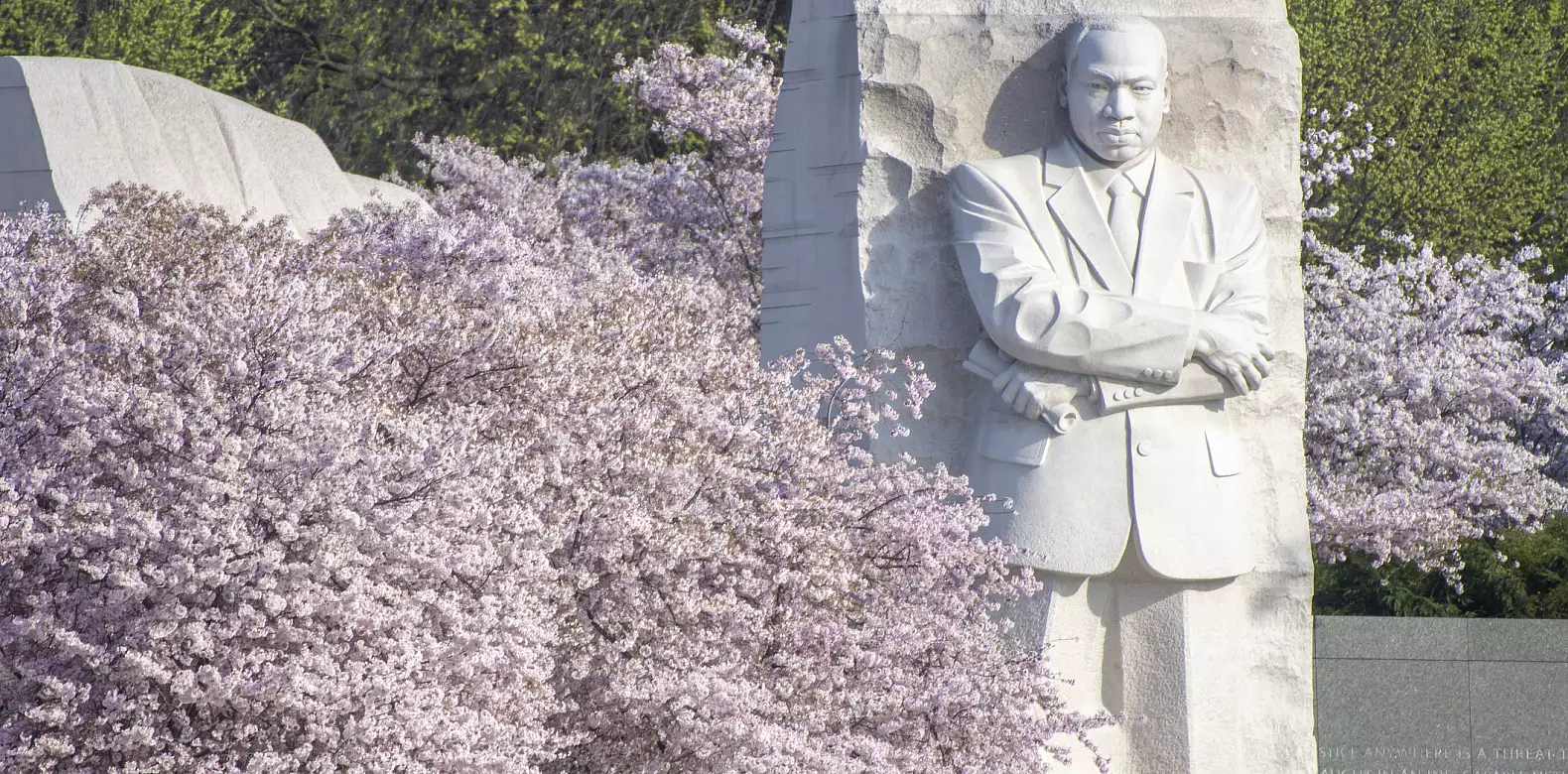 Image for news story: Exploring MLK’s true beliefs on nonviolence