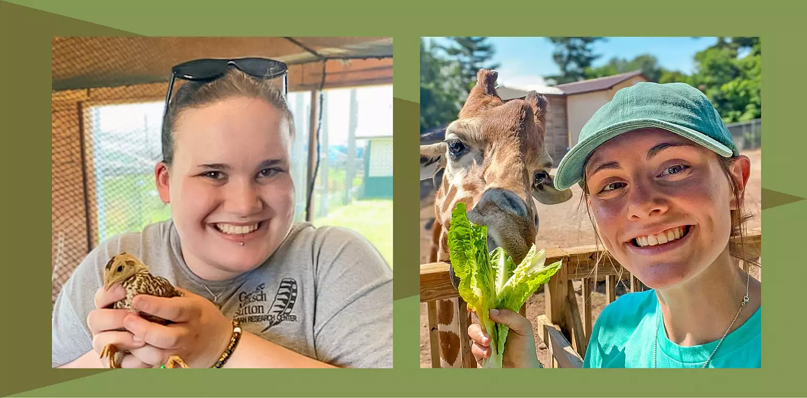 Image for news story: Ecology majors care for animals big and small in research, zoo internships