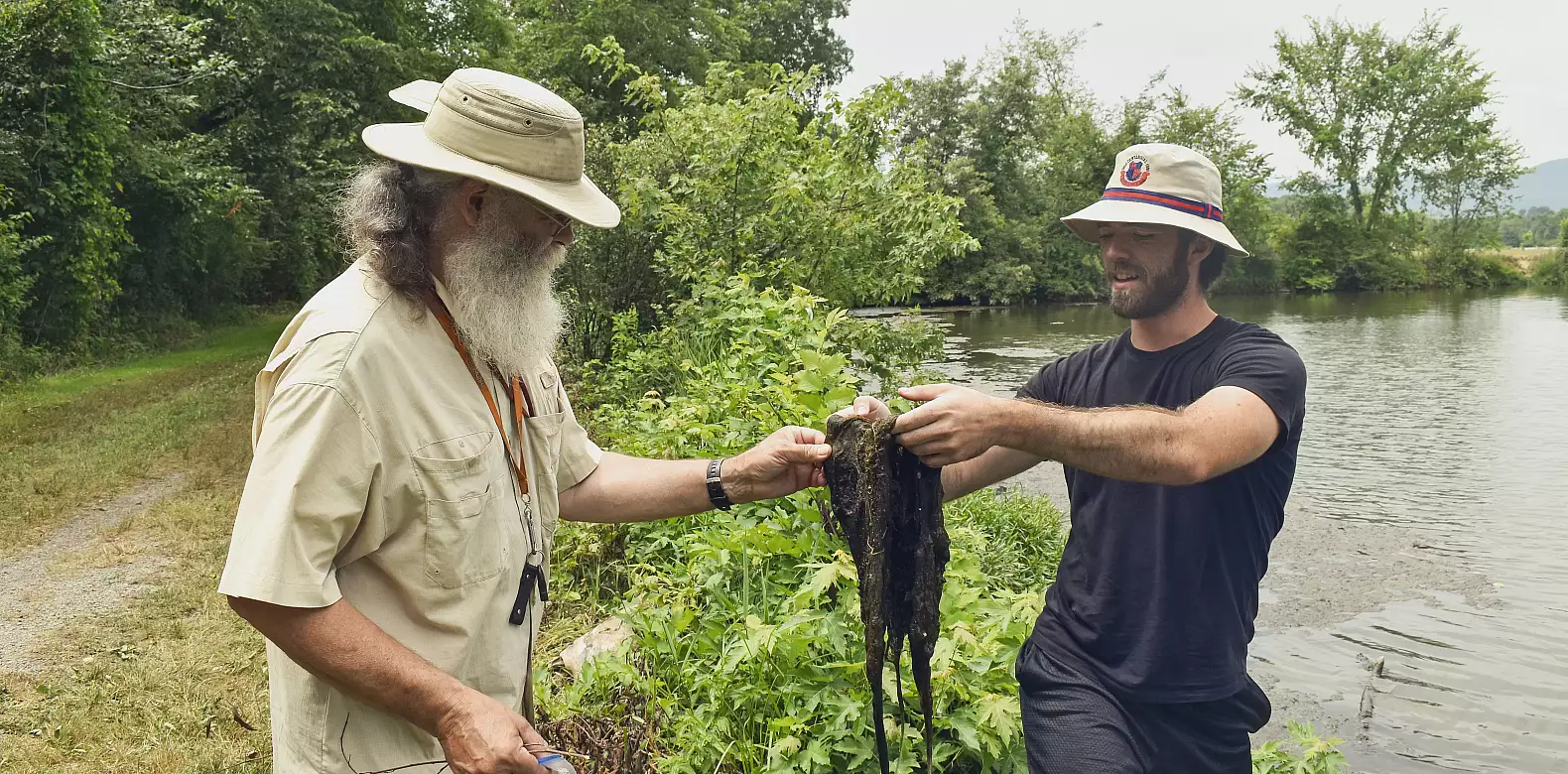 Image for news story: Shedding the light on mixoplankton
