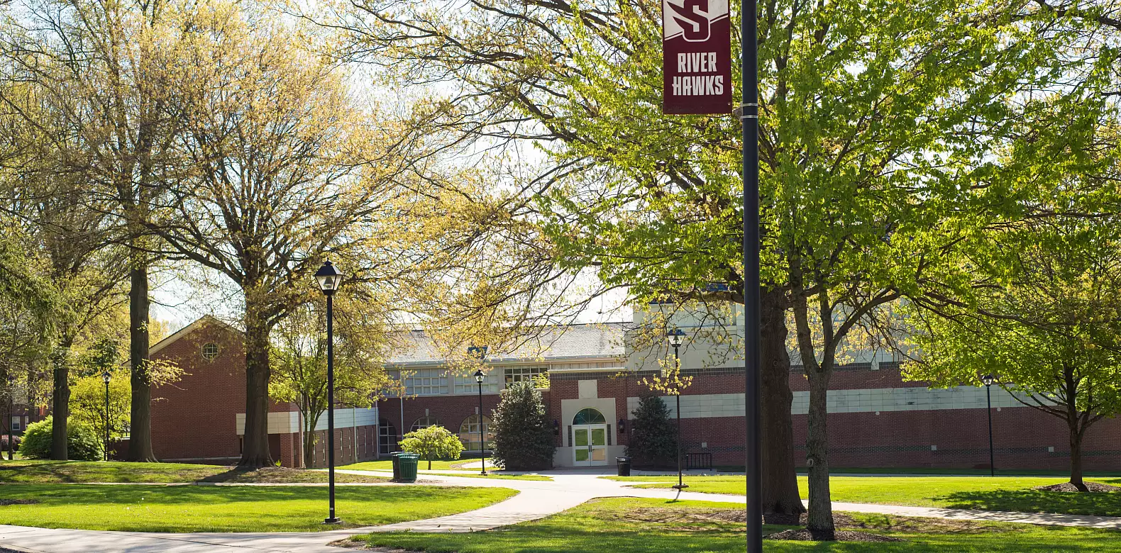 Image for news story: Volunteers Sought for SU Reaccreditation