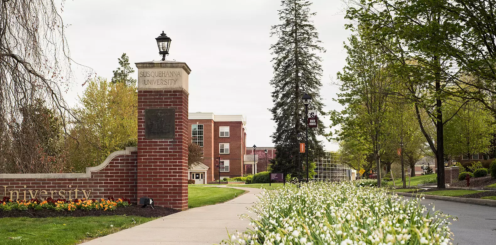 Image for news story: Spring 2022 Covid Plan