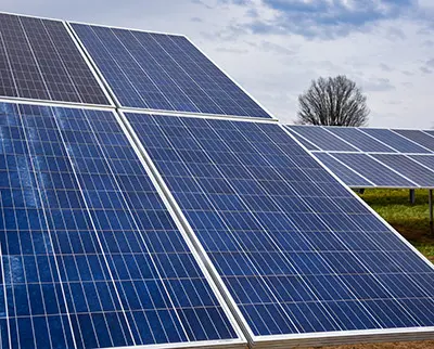A field of blue solar panels angled towards the sky with a partly cloudy backdrop. A leafless tree is visible in the background, and grass surrounds the area.