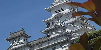 Image for news story: We’re Ranked Twelfth for Study Abroad