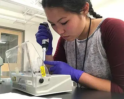 A person wearing a gray and maroon shirt and purple gloves is using a pipette in a laboratory setting. They are focused on their task with laboratory equipment in front of them.