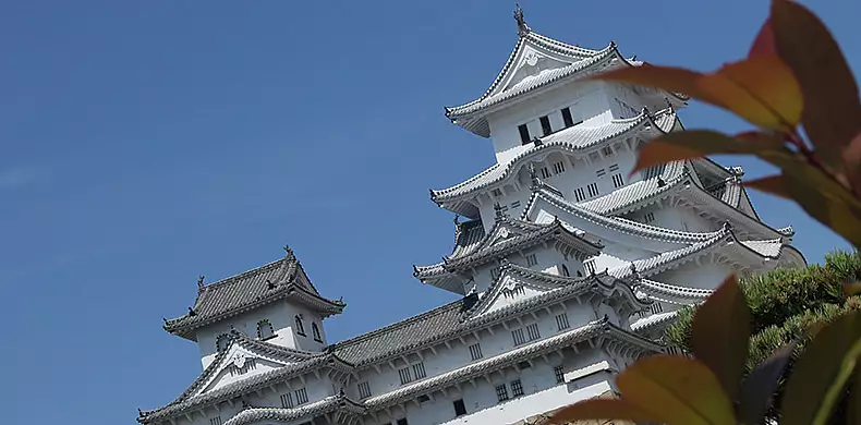 Image for news story: Three Named Cultural Vistas Fellows