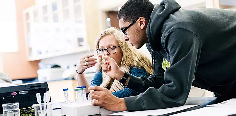 Image for news story: SU Recognized for Student Engagement, Innovative Teaching, Outcomes