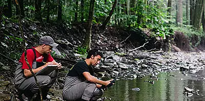 Image for news story: Research Identifies Threats to Brook Trout Populations