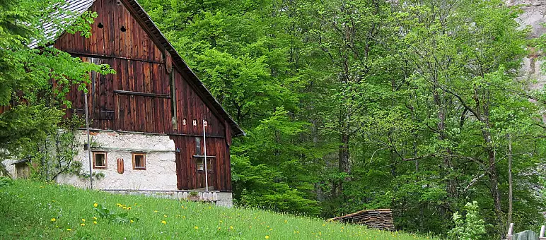 A rustic wooden barn with a stone base stands on a lush green hillside. The foreground is dotted with yellow wildflowers, and dense green forest surrounds the building, creating a serene, natural setting.