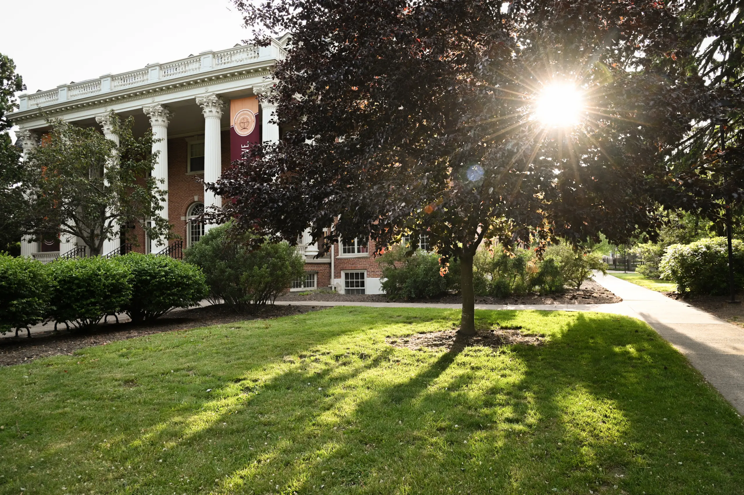 The image shows a sunlit scene with a large brick building featuring white columns and a prominent banner. A tree casts long shadows on the green lawn in the foreground, with sunlight peeking through its leaves.