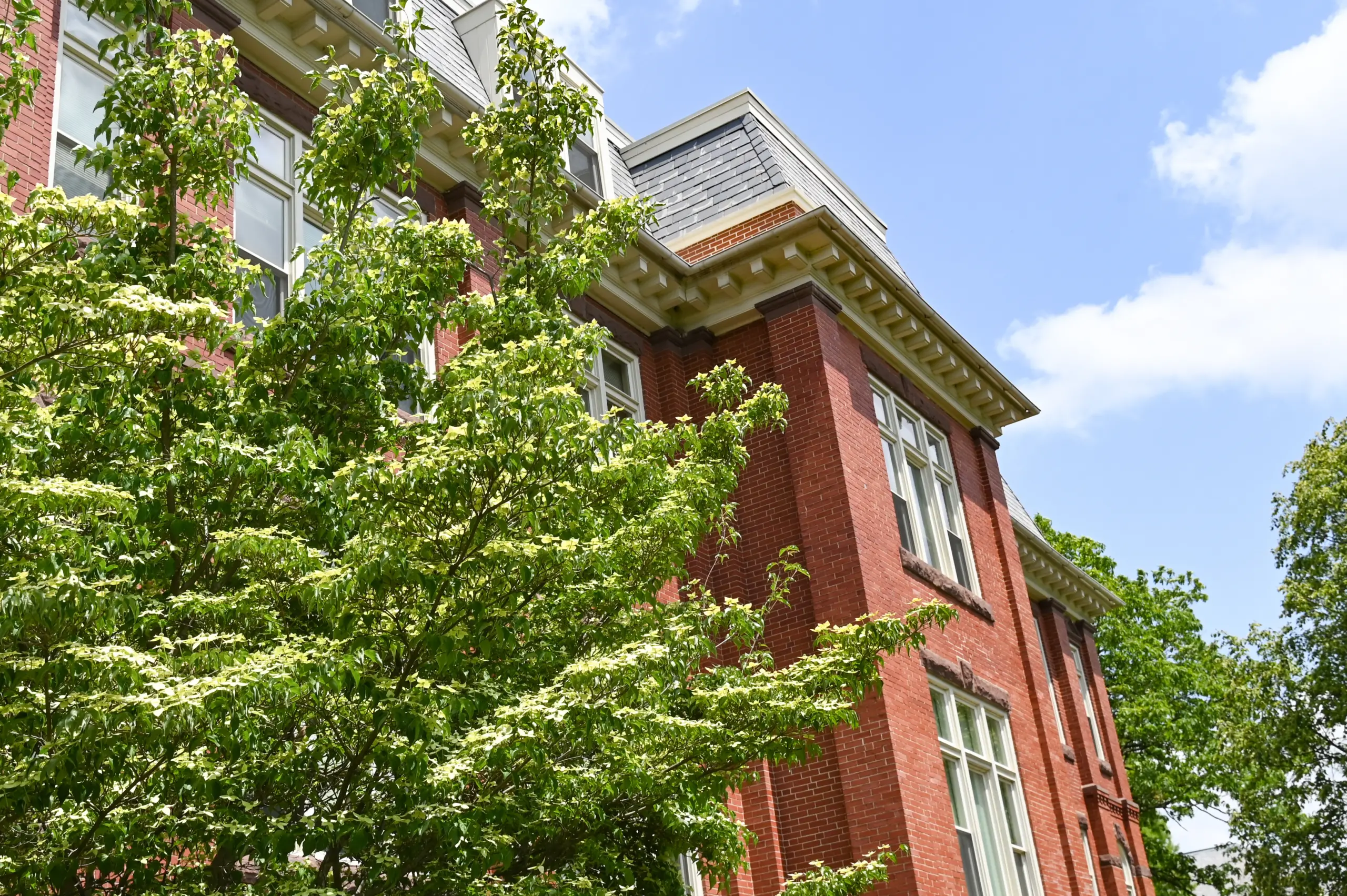 A red brick building with large windows and a slate roof is partially obscured by green trees. The sky above is clear and blue, with a few scattered clouds.