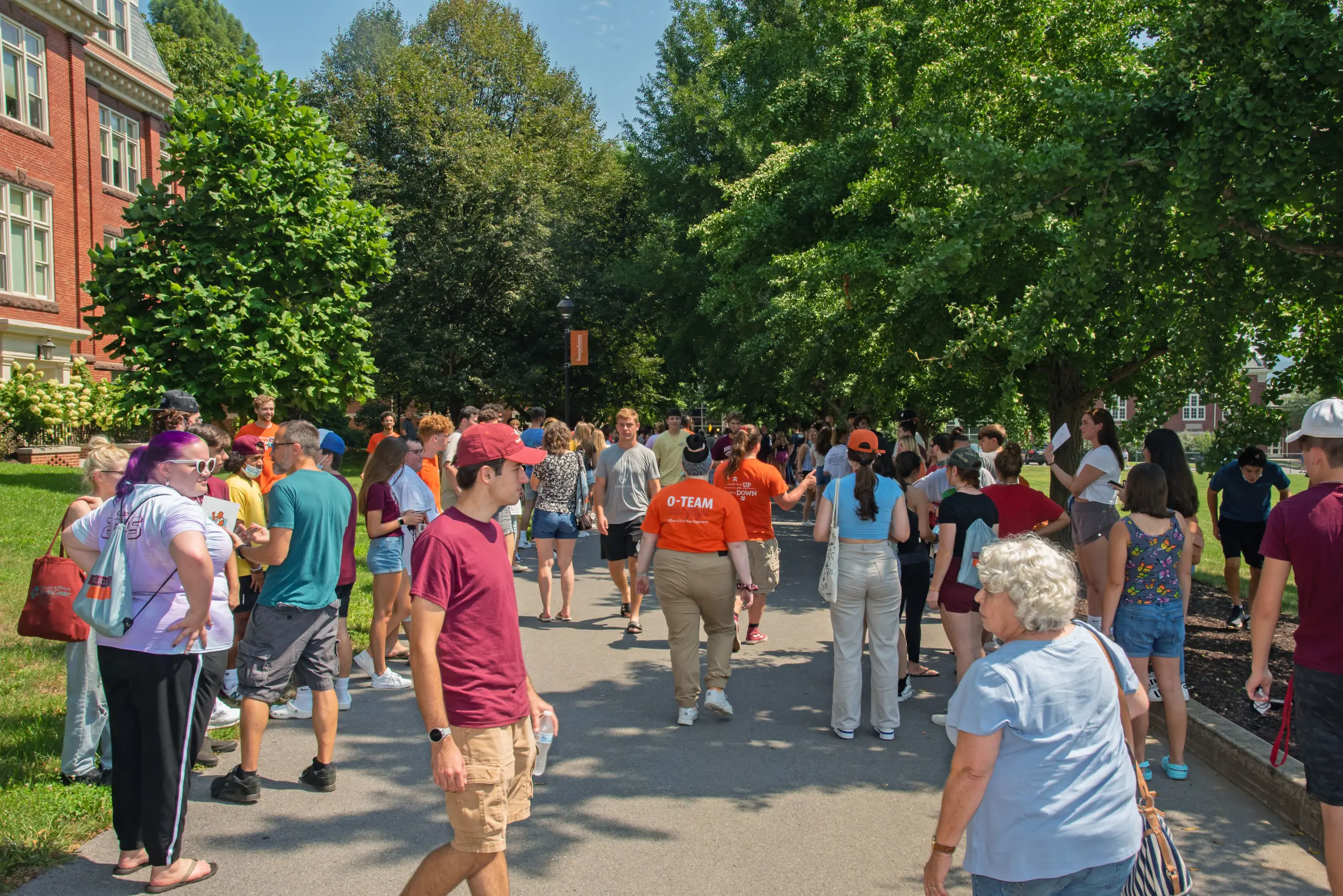 A diverse crowd of people walks down a tree-lined path on a sunny day. Some individuals wear orange shirts with 