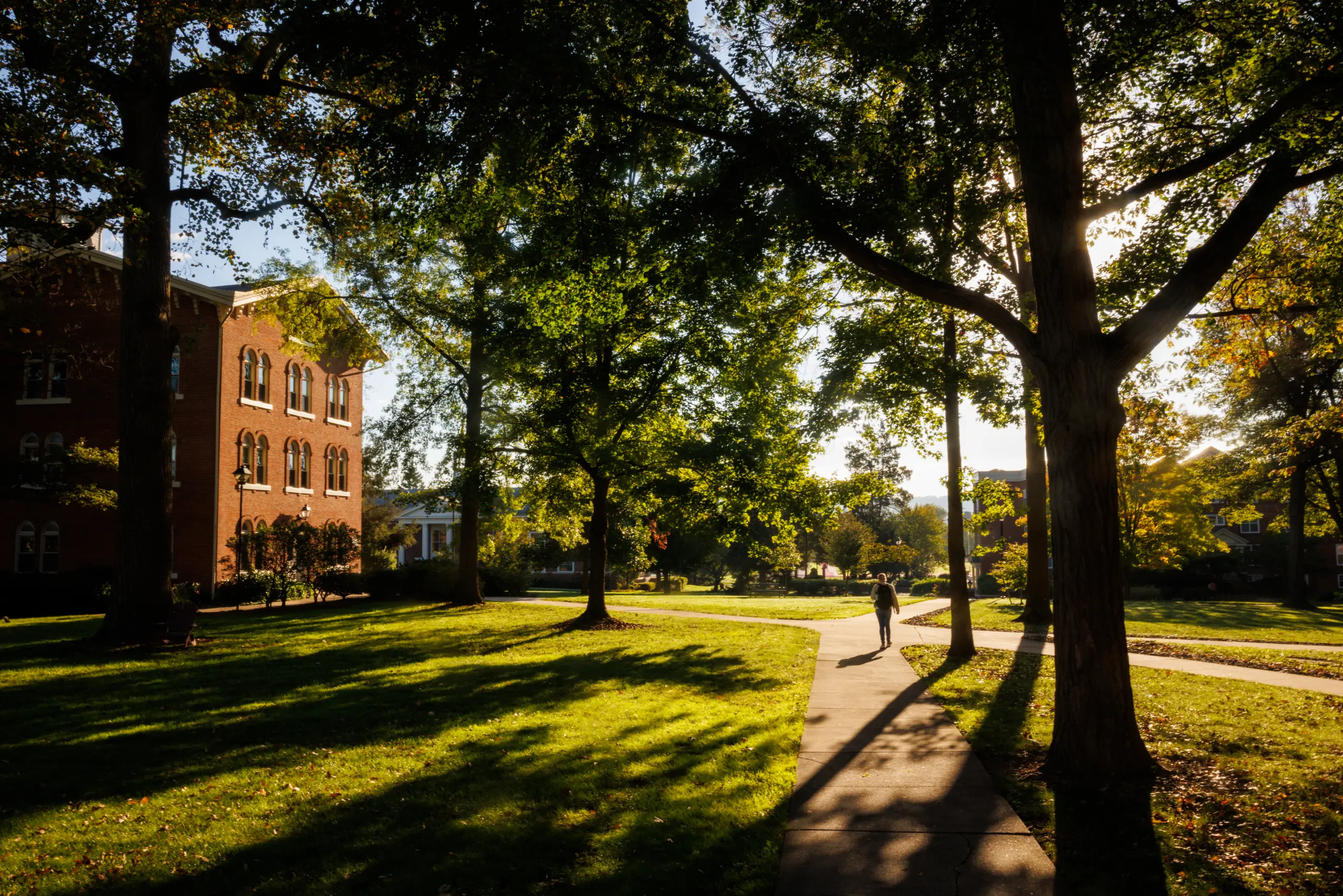 A serene college campus with a red-brick building and lush green trees. Sunlight filters through the leaves, casting shadows on the grassy lawn and a walkway where a person is walking.