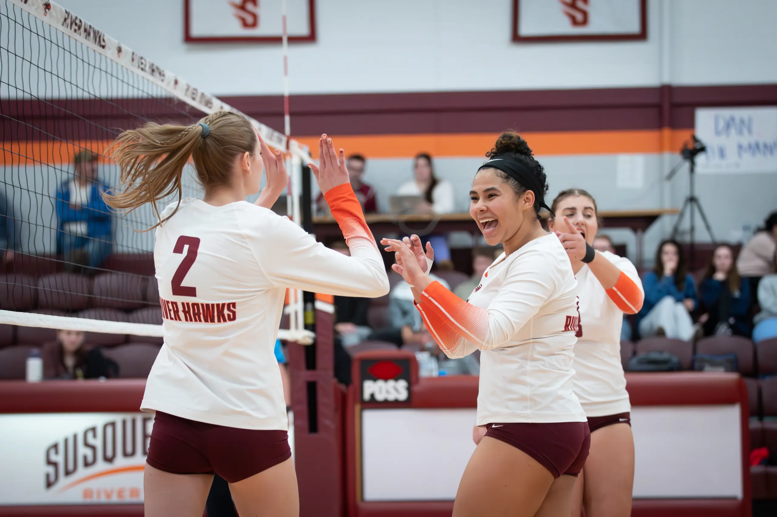 Volleyball players in white jerseys celebrate a point with high fives near the net in a gym. The background shows spectators and team banners.