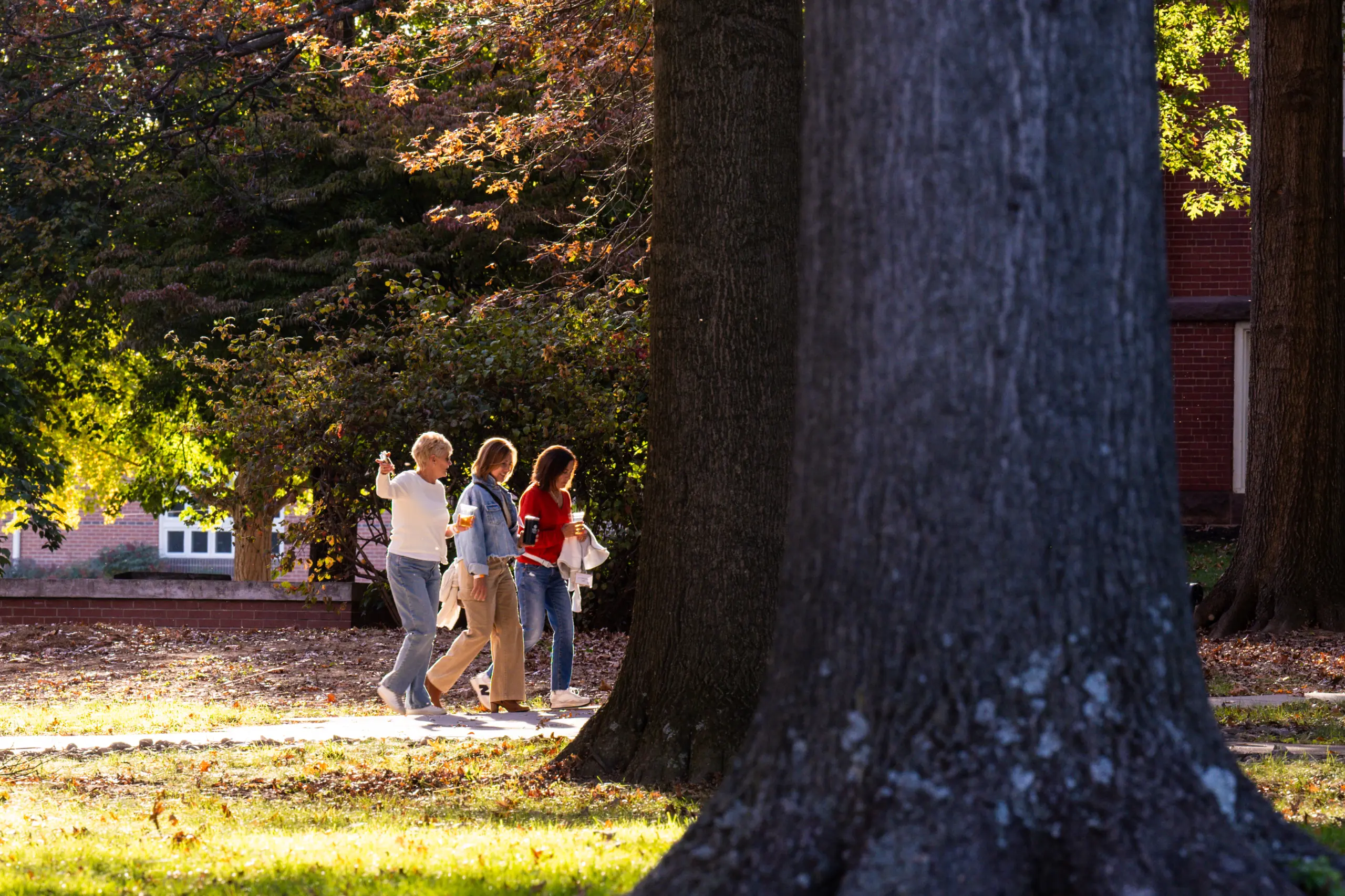 Three people walk along a tree-lined path on a sunny day, casting long shadows on the ground. The scene suggests a relaxing stroll in a park or campus setting. Large trees frame the foreground, and a red-brick building is in the background.