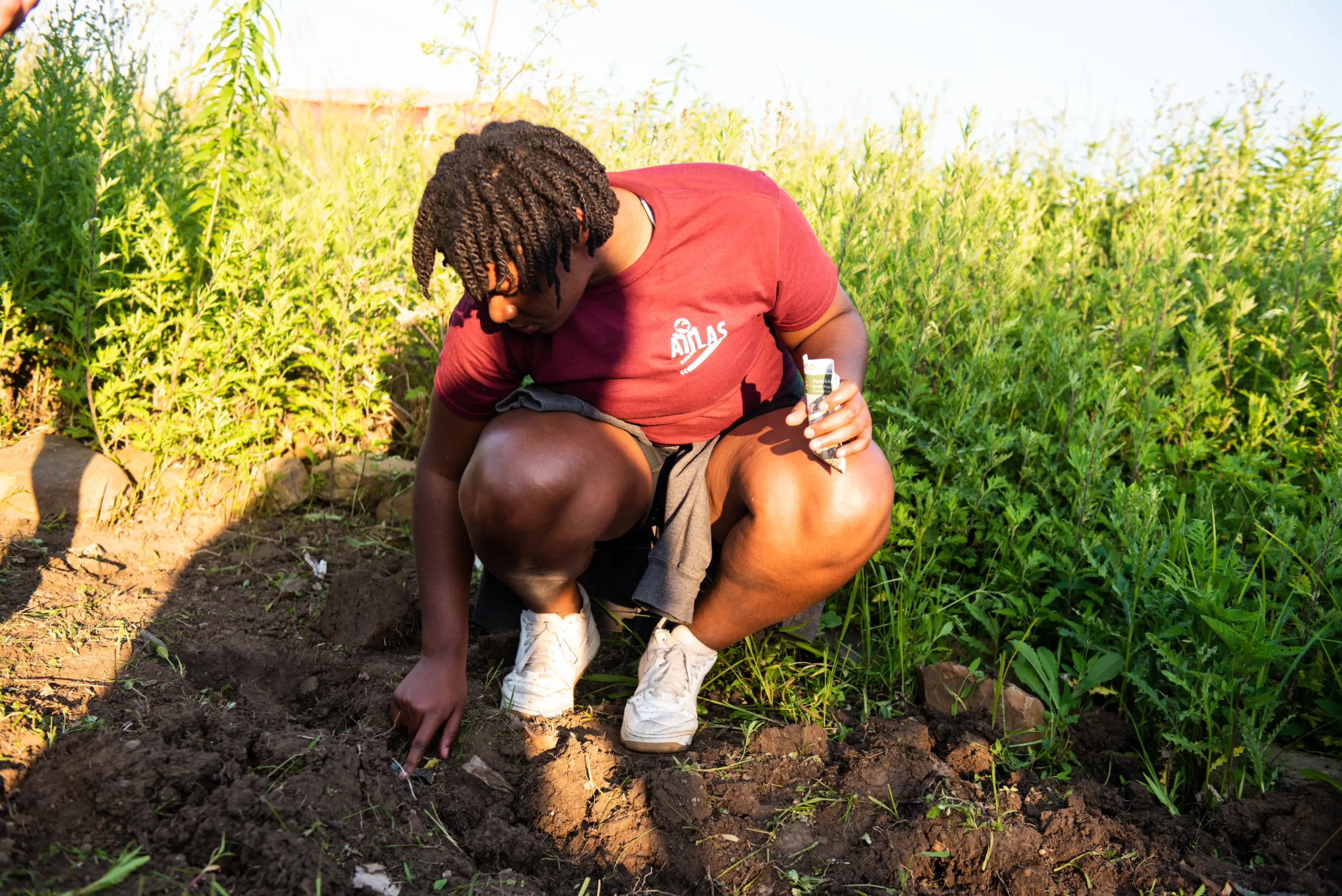 Person crouching in a garden, using a small tool to work the soil. They wear a maroon t-shirt and gray shorts, with white sneakers. Green plants surround them, and they are holding a bottle in one hand. The setting is sunny and outdoors.
