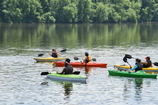 Five people are kayaking on a calm lake surrounded by lush green trees. They are paddling in colorful kayaks, including yellow, red, and green, under a clear sky. The serene water reflects the trees and kayakers.