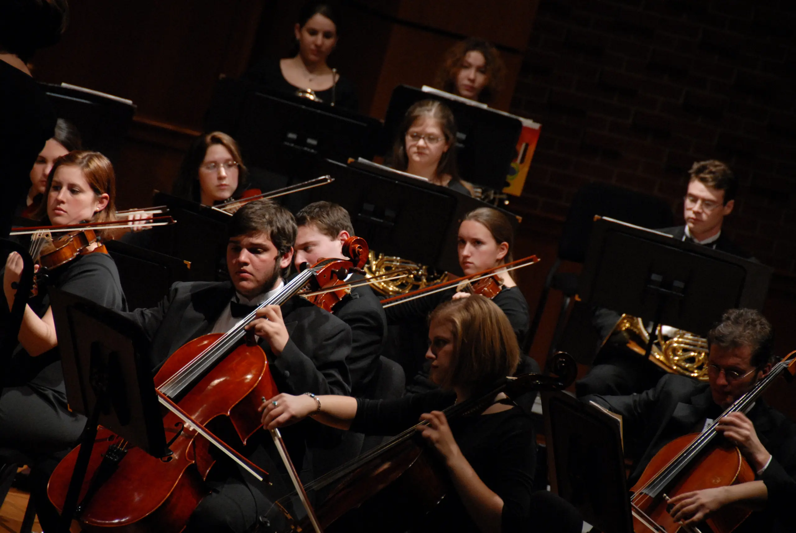 A group of musicians in formal attire play string and brass instruments in an orchestra. The cellists and violinists are in the foreground, while horn players are visible in the background. They are focused on their music stands.