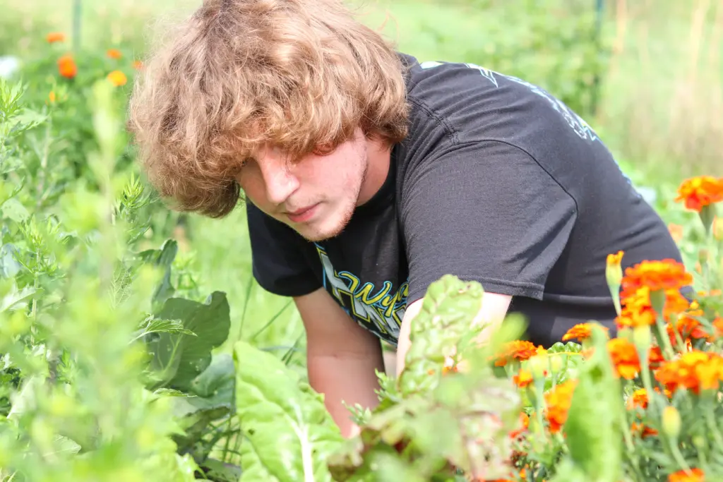 A person with wavy brown hair wearing a black shirt leans forward in a garden. They are surrounded by green plants and orange flowers, tending to the plants with focus on sustainability. The scene is bright and outdoors.