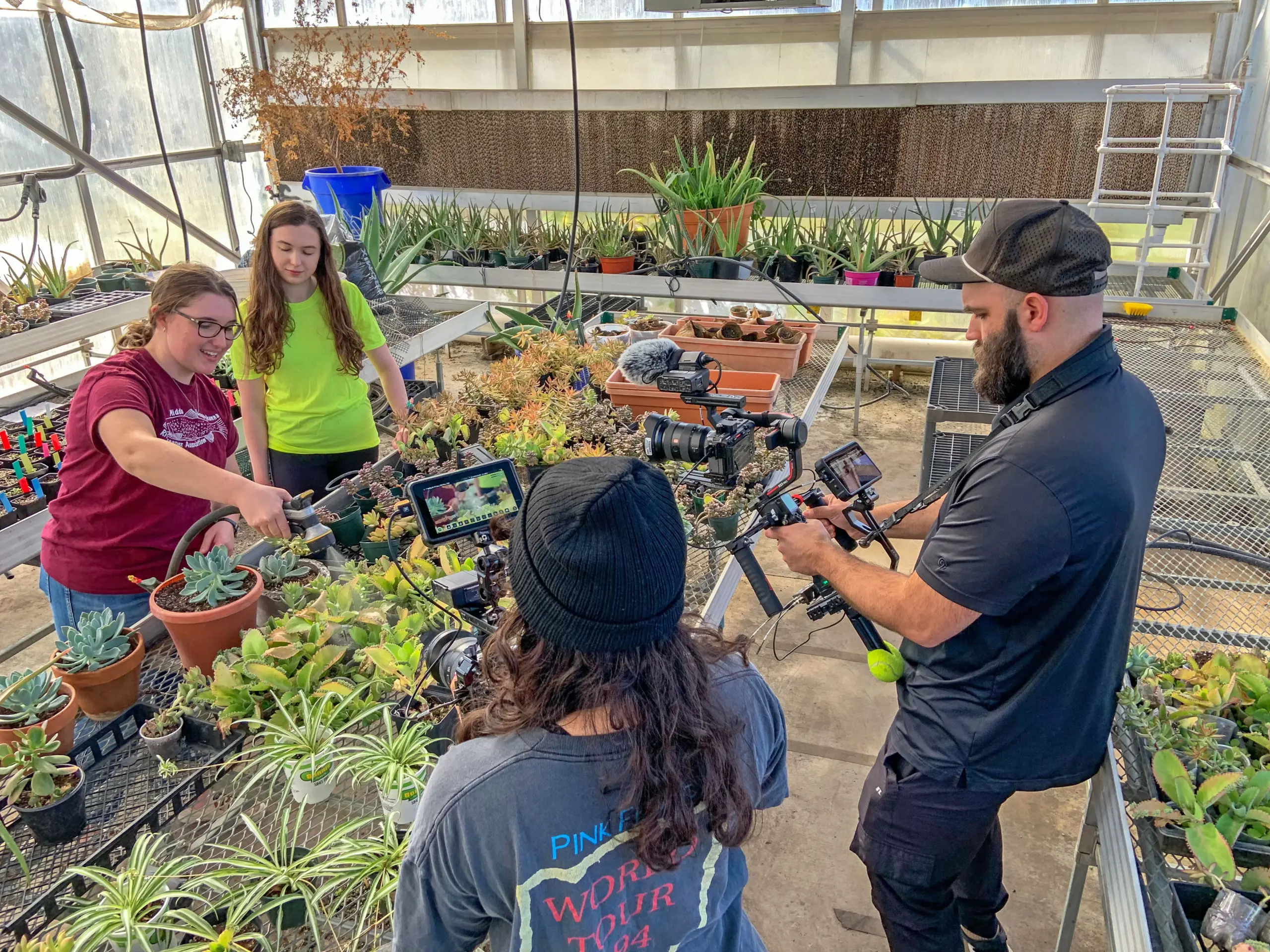 Four people are working in a greenhouse filled with various potted plants. Two people, one in a yellow shirt and another in maroon, are tending to the plants, while the other two are filming with professional cameras.