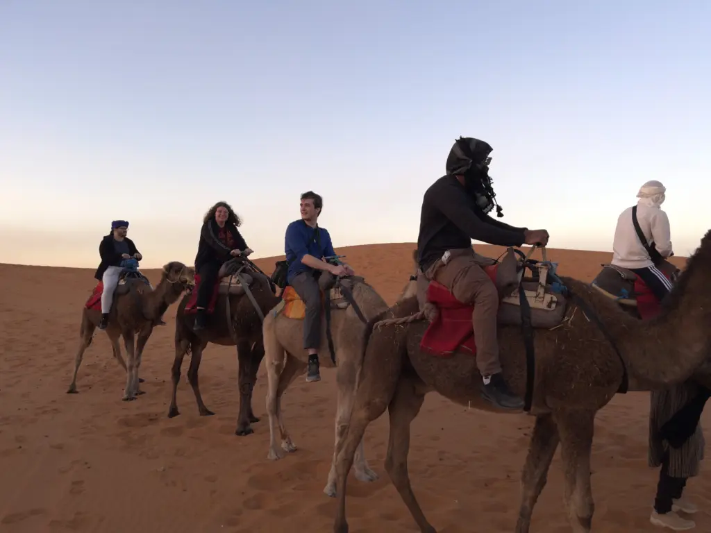 A group of people, perhaps on a GO Study Abroad adventure, ride camels in a desert landscape at dusk. The sky is clear, with hues shifting from light blue to subtle gradients. The sandy terrain stretches into the distance as each rider dresses comfortably for the climate.