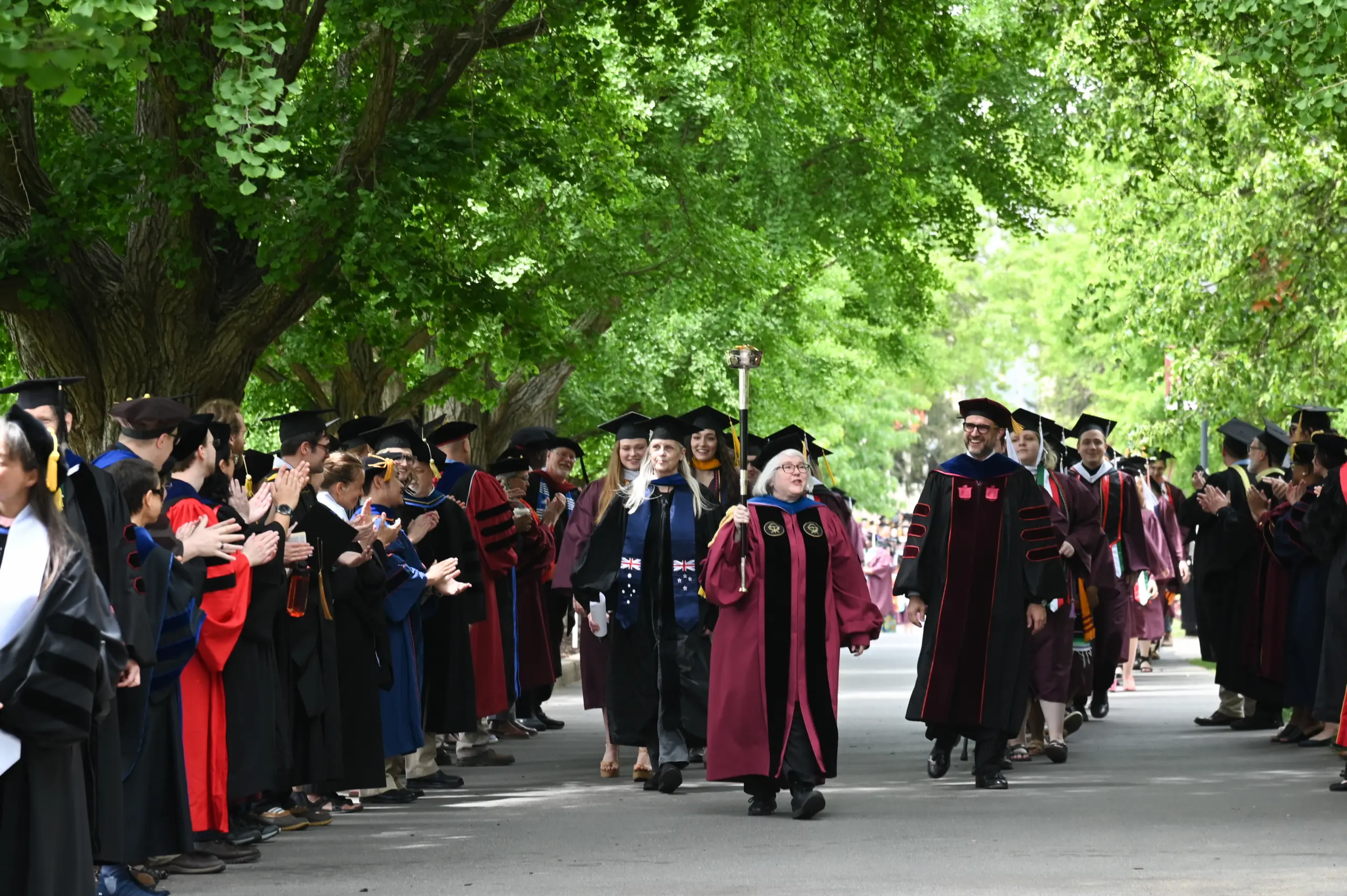 A graduation procession with people in academic robes, led by a person carrying a ceremonial staff. They walk down a tree-lined path while others clap from both sides. The atmosphere is celebratory.