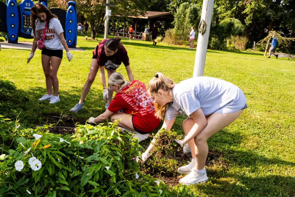 Four women are gardening in a sunny park, pulling weeds and tending to plants. They are casually dressed in t-shirts and shorts, working together near some greenery and trees, with a small structure visible in the background.