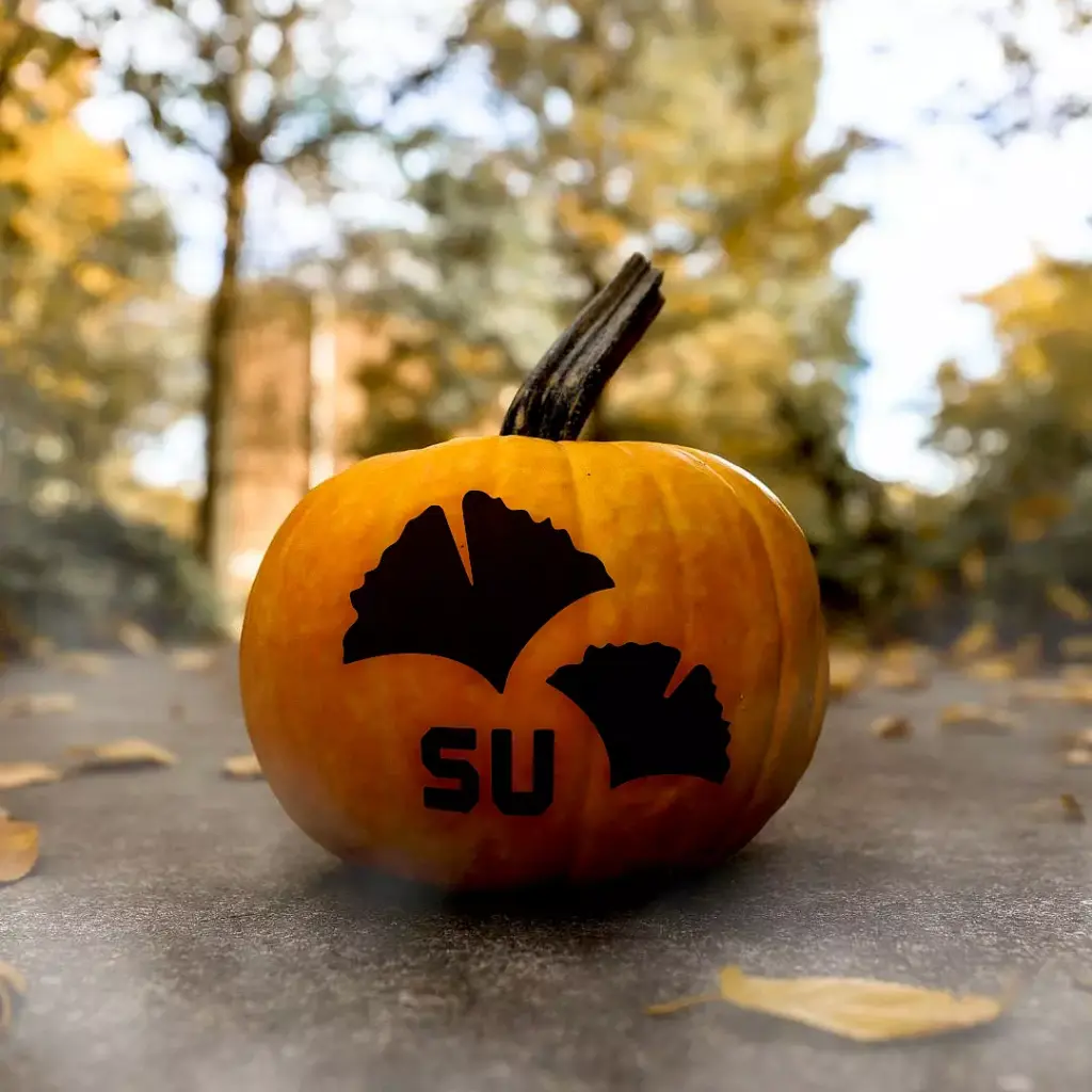 A pumpkin rests on a pathway amid fallen leaves and trees, adorned with black silhouettes of ginkgo leaves and the letters 