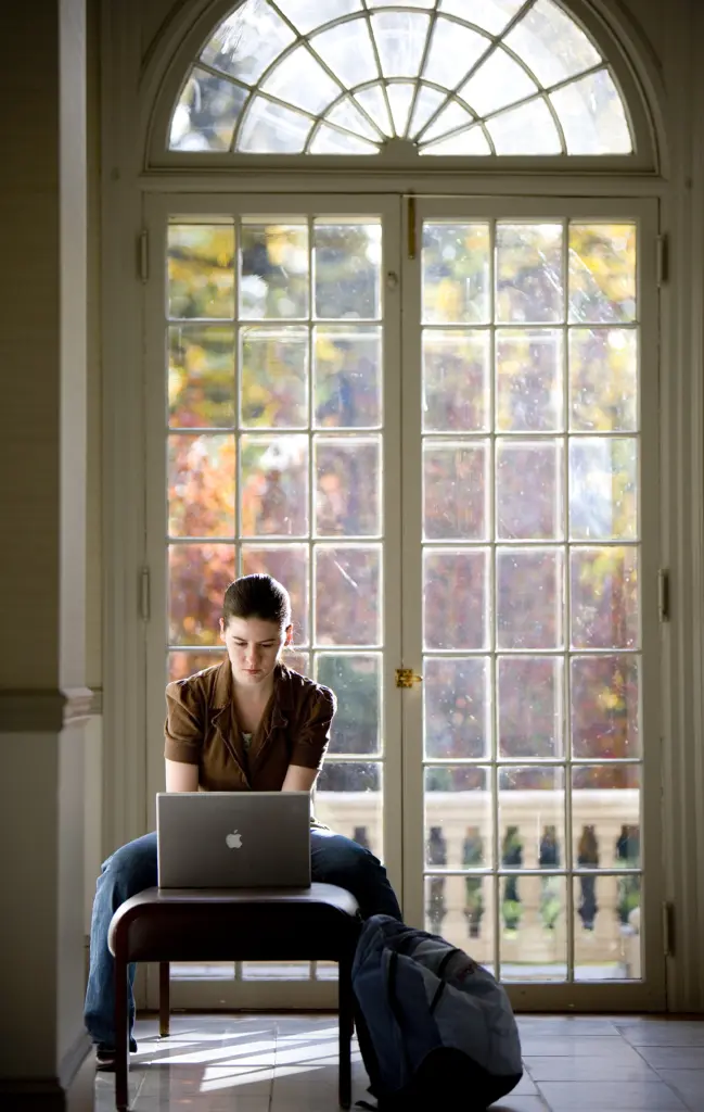 A person sits on a bench, focused on a laptop with an apple logo, in front of tall glass doors. Sunlight filters through, illuminating colorful foliage outside. A backpack lies on the floor nearby.