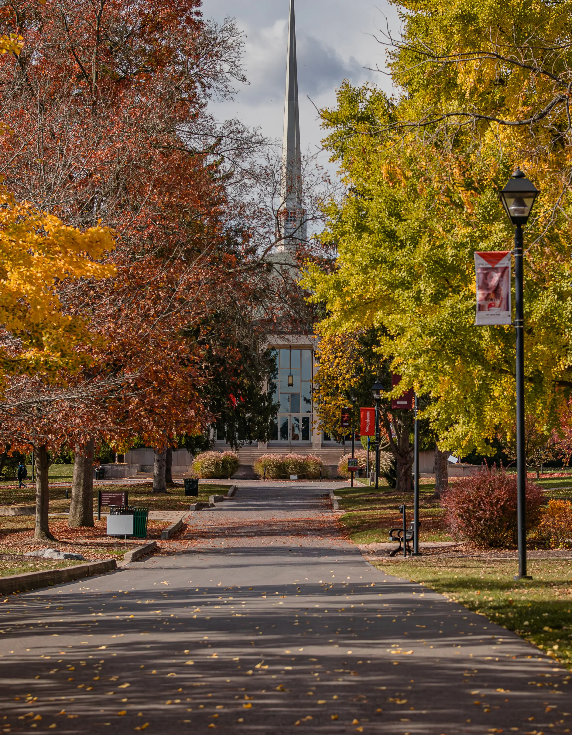 Tree-lined pathway with fallen leaves leading to a building with a tall spire in the distance. The trees display autumn colors of orange, yellow, and red. Banners are hung on lampposts along the walkway.