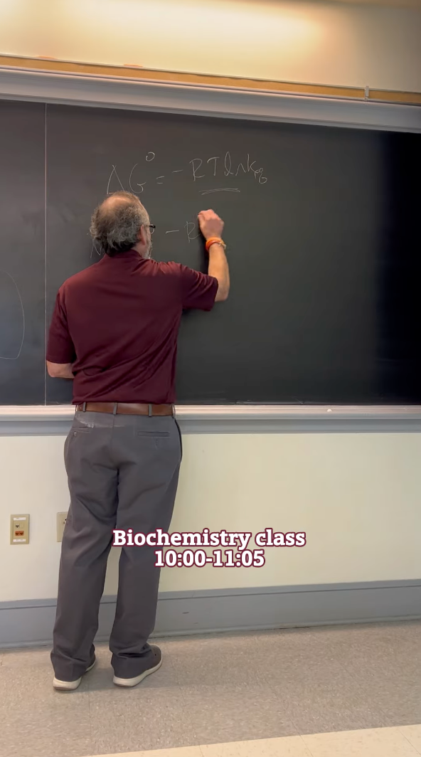 A person in a maroon shirt and gray pants writes on a chalkboard filled with equations in a School of Natural & Social Sciences classroom. The board displays, 
