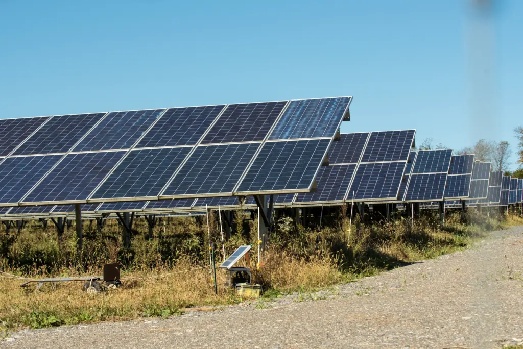 A row of solar panels in a field under a clear blue sky, with grass and gravel visible in the foreground, showcases effective sustainability initiatives. The panels are angled to capture sunlight efficiently.