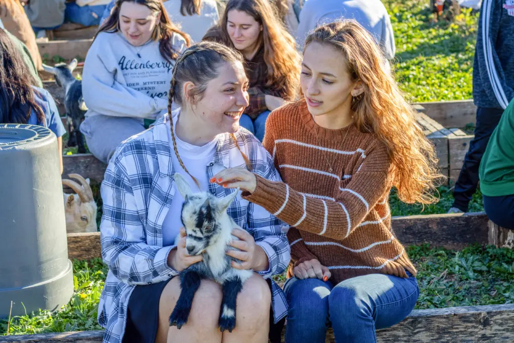 Two women sitting on a wooden bench outdoors. The one on the left holds a small goat, smiling, while the other gently touches the goat. Several people in the background are seated on grass, interacting with more goats. Sunny day.