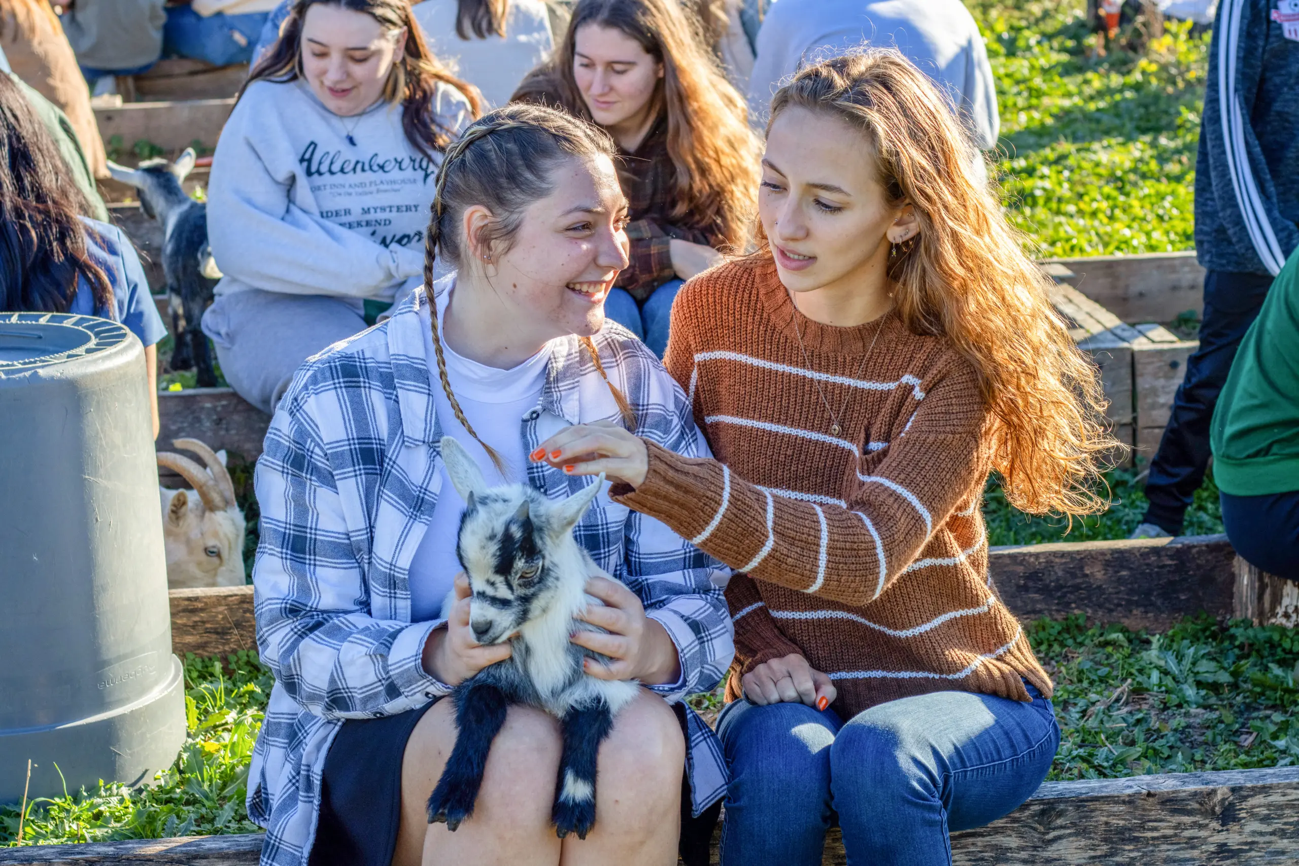 Two women sitting on a wooden bench outdoors. The one on the left holds a small goat, smiling, while the other gently touches the goat. Several people in the background are seated on grass, interacting with more goats. Sunny day.