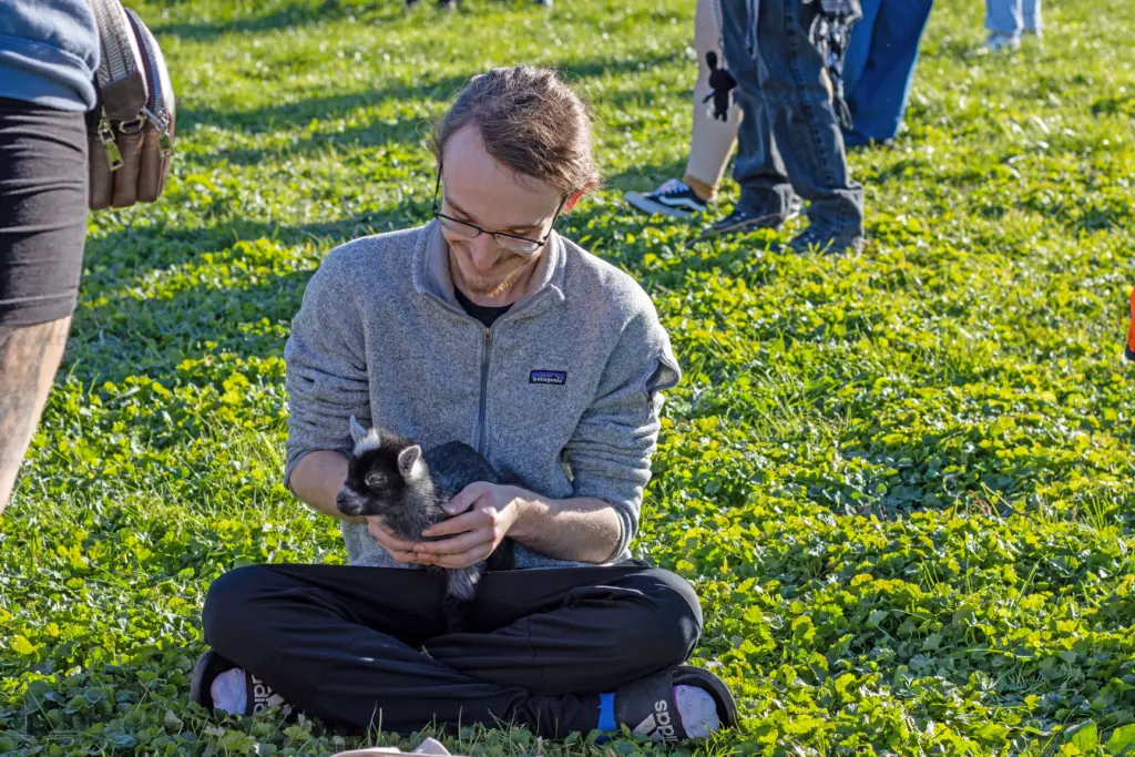 A person sitting cross-legged on grass, wearing a gray fleece and glasses, is gently holding a small black and white piglet. Other people are visible in the background on the grassy area.