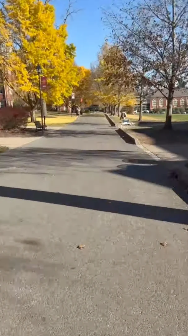 A paved pathway lined with trees, some with yellow autumn leaves and others bare, stretches through a college campus on a sunny day. Shadows cross the path and buildings are visible in the background.