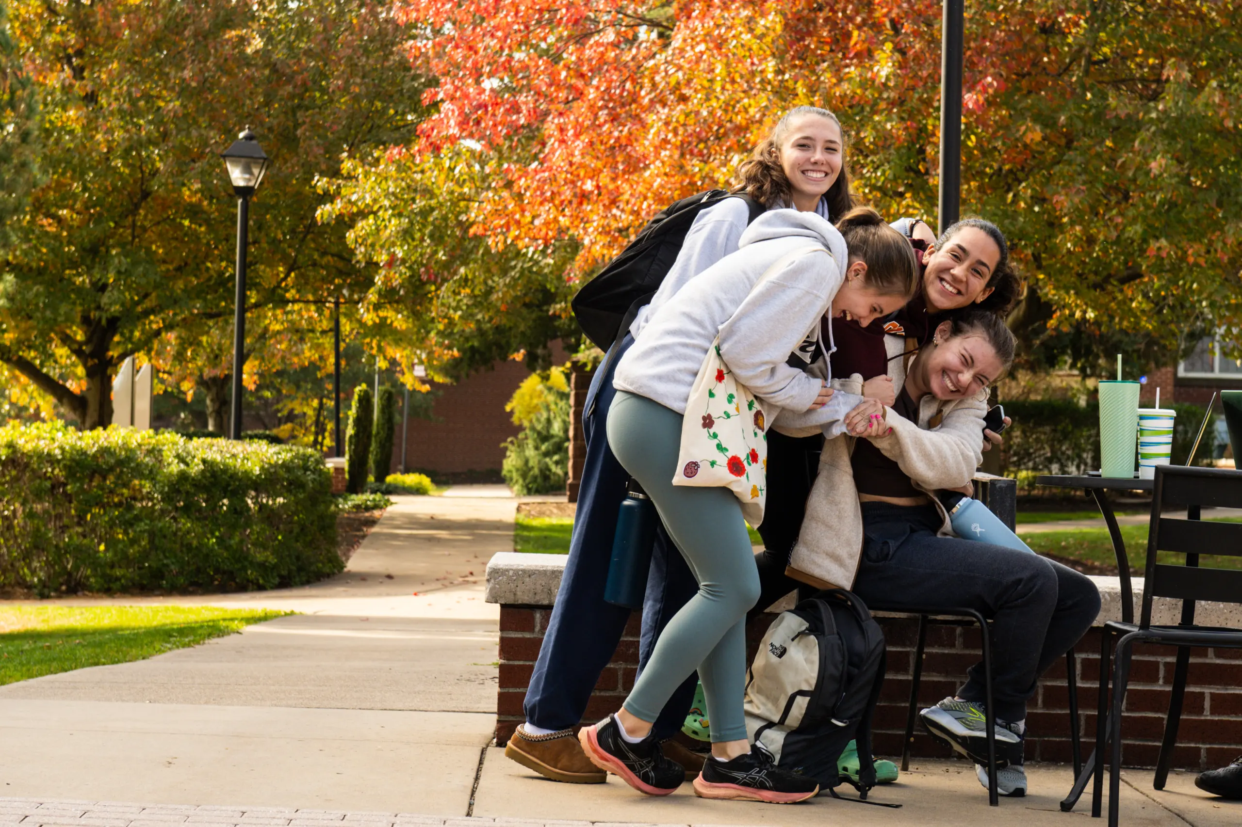 Four young people laugh and huddle together on a bench outside, surrounded by autumn trees with orange and red leaves, enjoying a sunny day on a college campus.